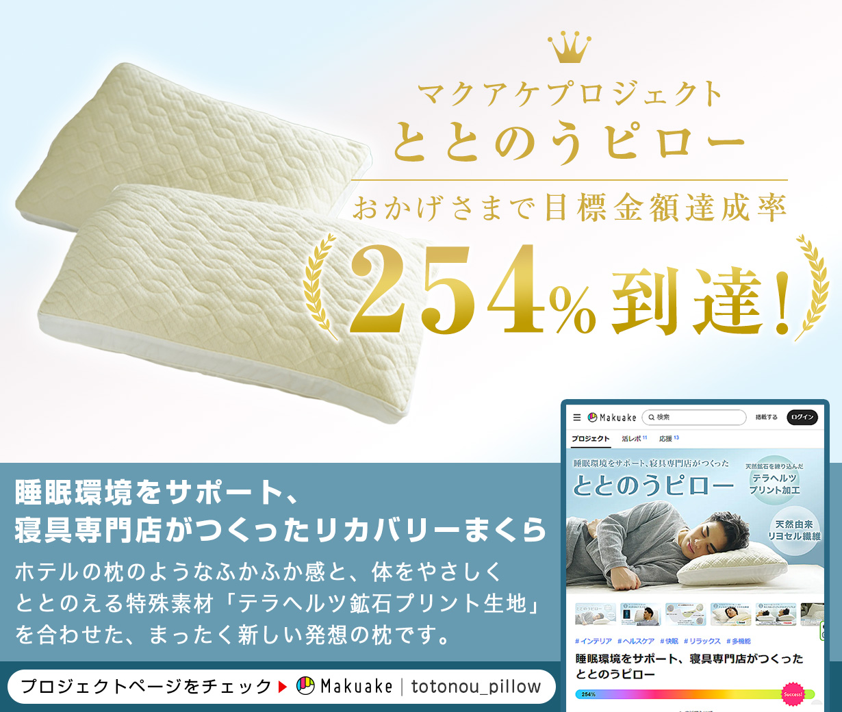 目標金額達成率254%