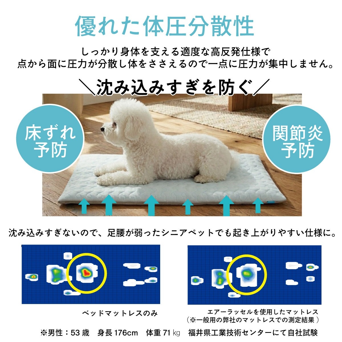 透湿防水ペットマットレス 優れた耐圧分散性