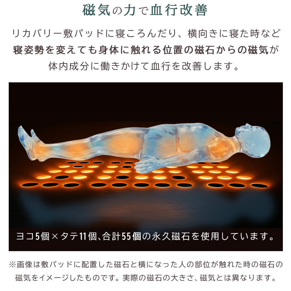55個の永久磁石(フェライト)と磁気のイメージ画像