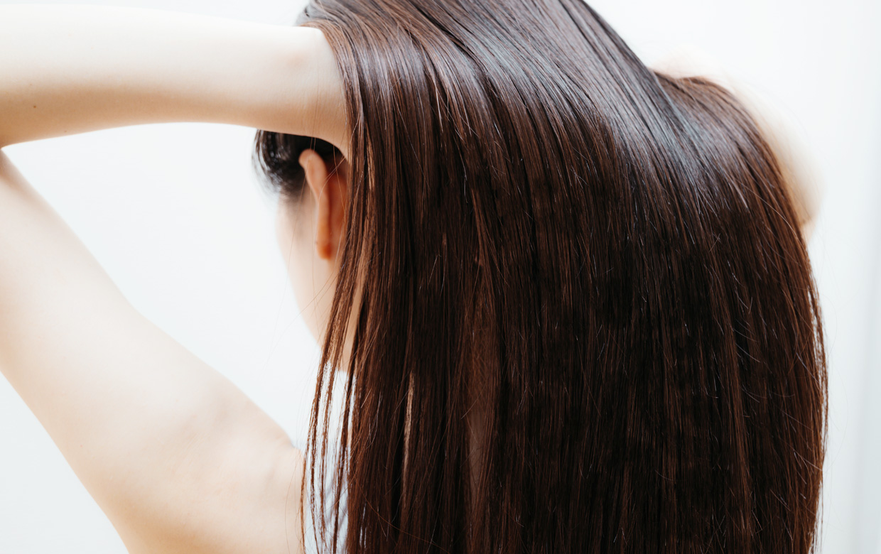 モデルイメージ